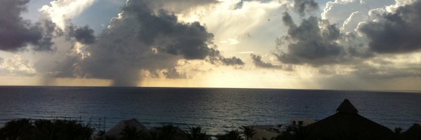 Stingrayomega Profile Banner