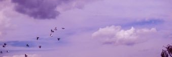 솔 banner