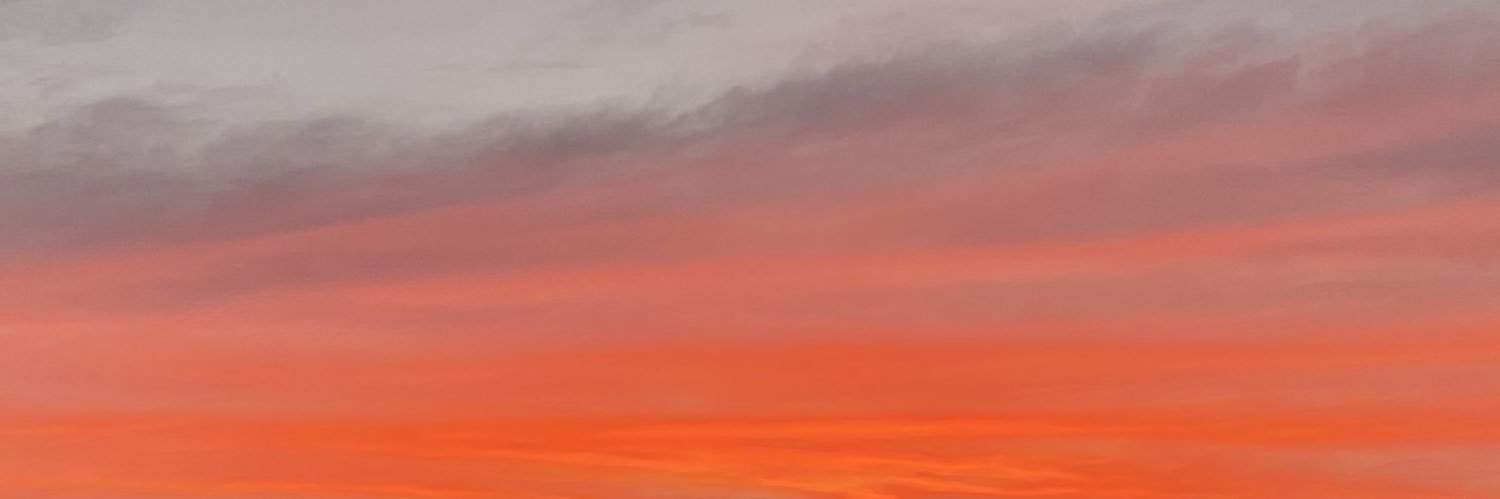 lausofiaa's profile banner image
