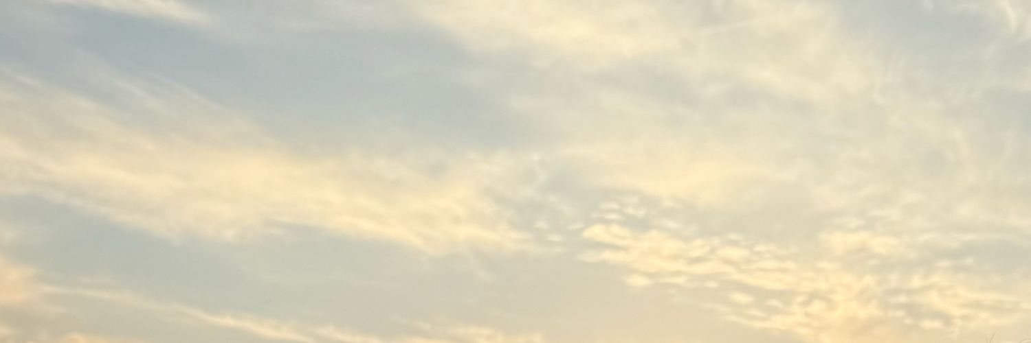 ash banner