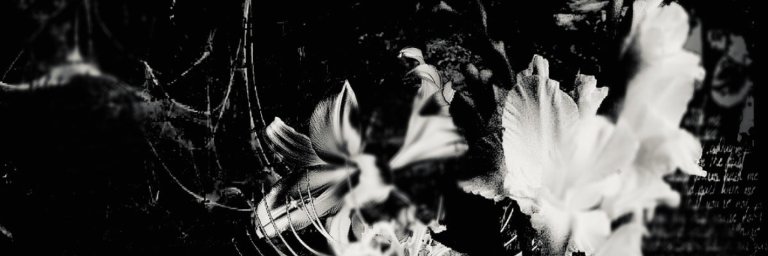 FaithCries's profile banner image