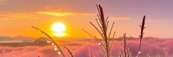 malikwrites747 Profile Banner