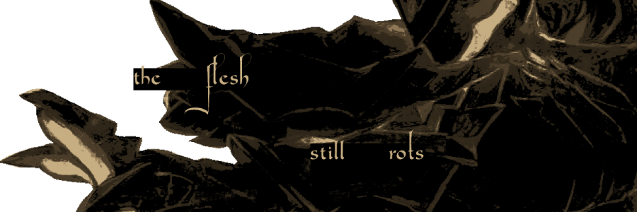 ゛ ‍ ‍𝓷𝐢𝖌𝐡━━𝒊𝖓𝐯𝐢𝖓𝐜𝖎𝐛𝖑𝐞. banner