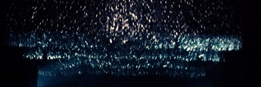 eve_lacey's profile banner image