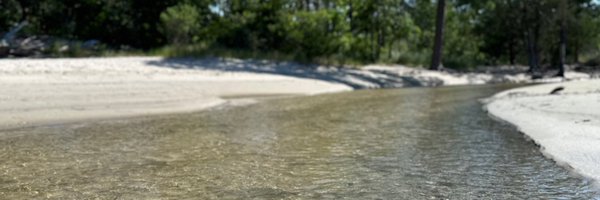 happywhitneyb Profile Banner