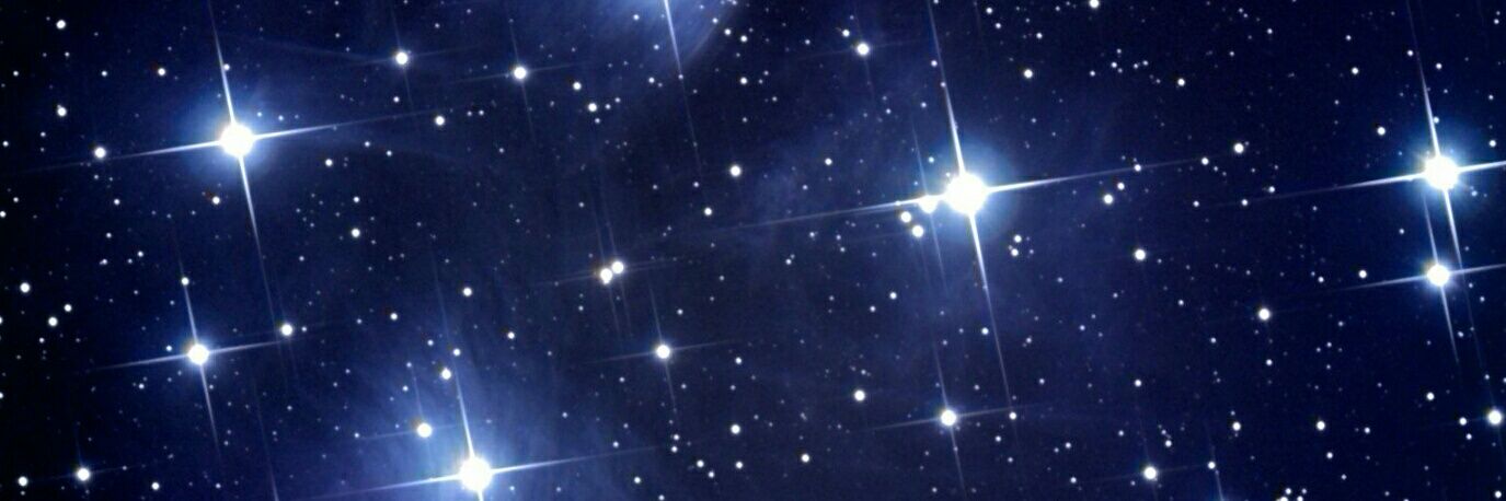 William53604792's profile banner image