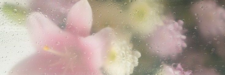 siia_uc's profile banner image