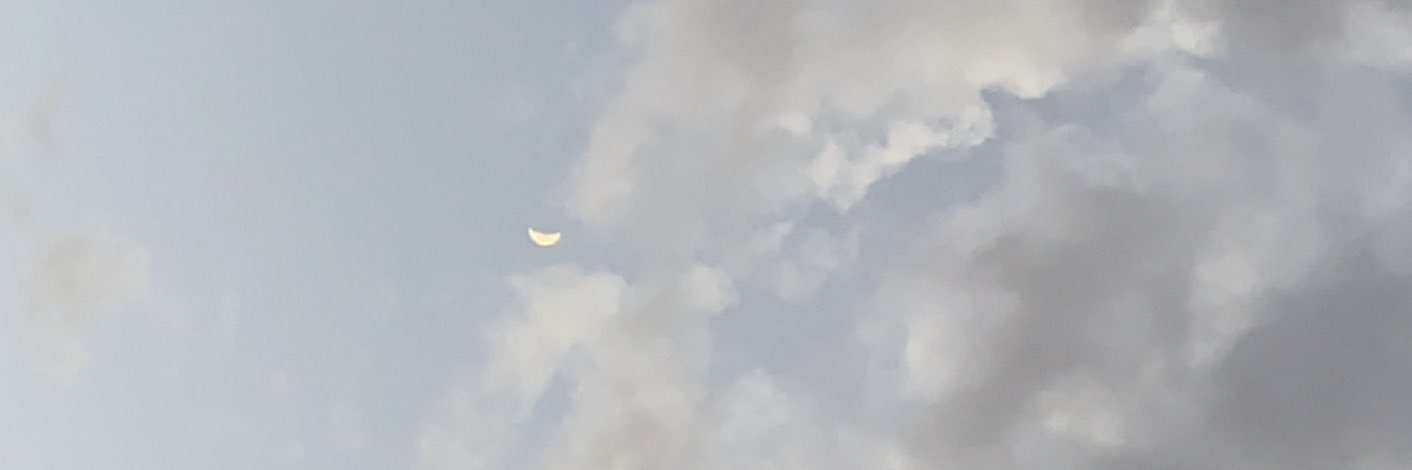 Cynja's profile banner image
