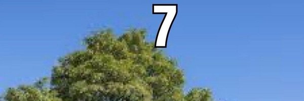 Itsprobablydee Profile Banner