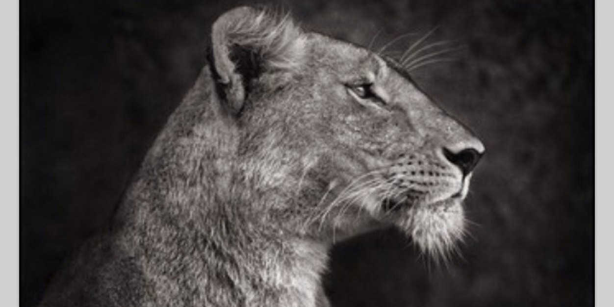 erikafaithd's profile banner image