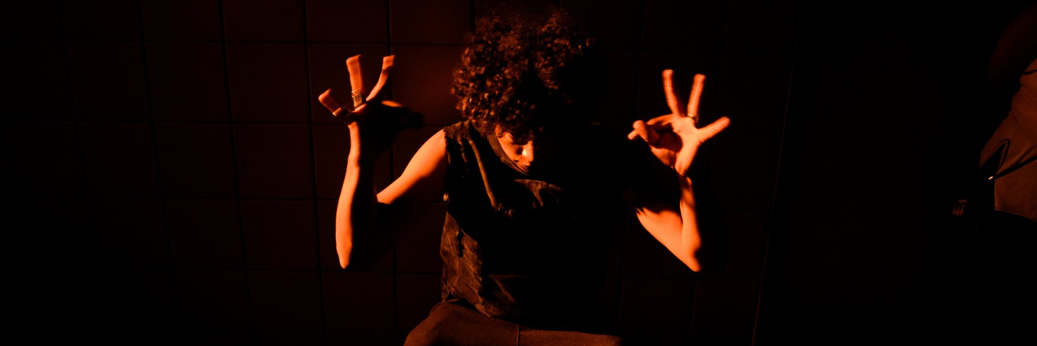 saraudasseis's profile banner image