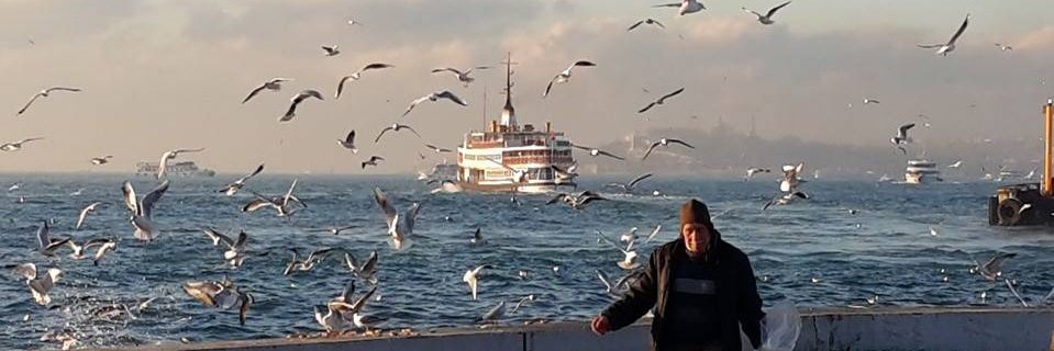 chan_yaman's profile banner image