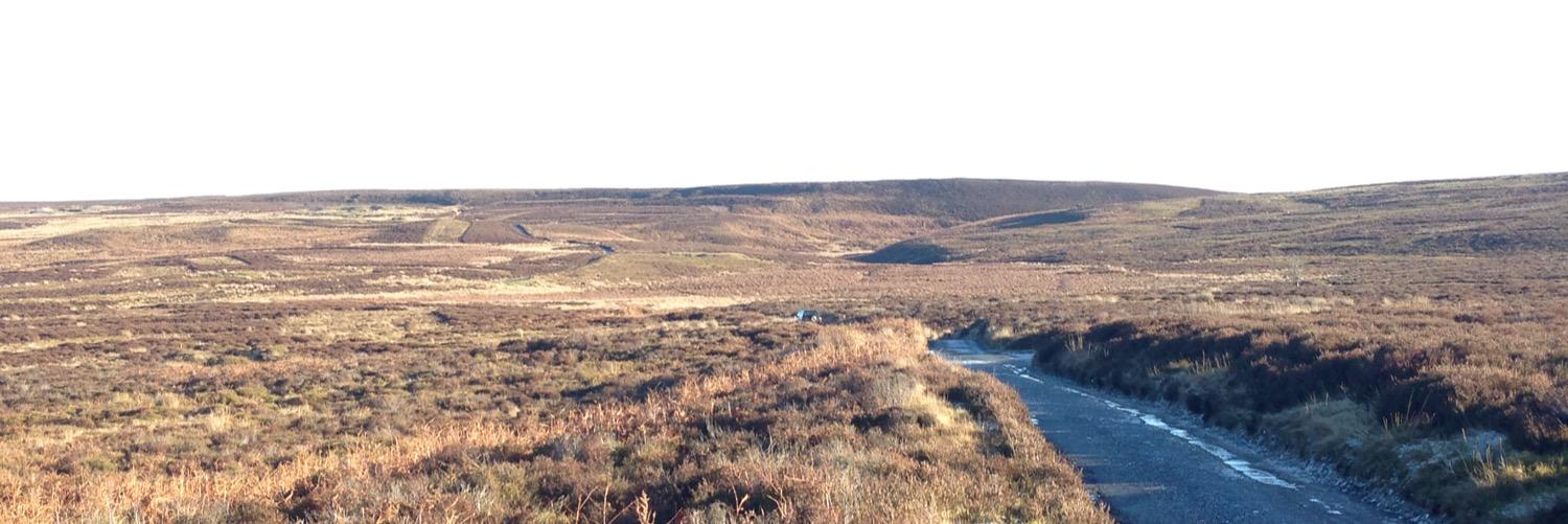 HarryMytton's profile banner image