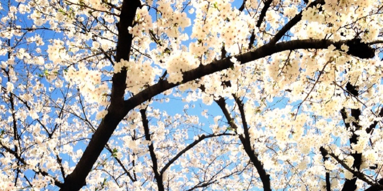 YOUHappa's profile banner image