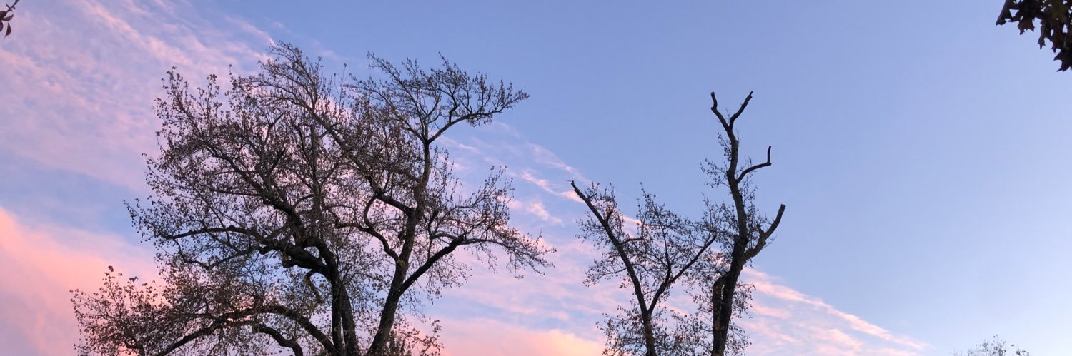 millicentbond's profile banner image