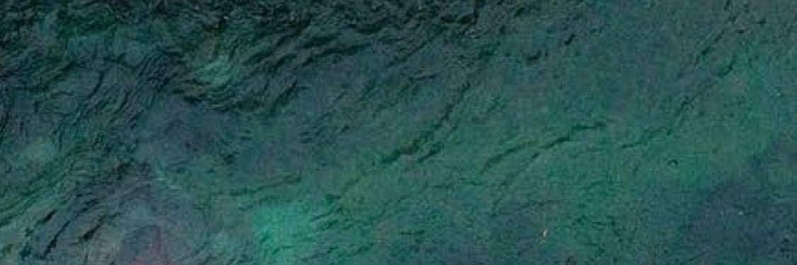 Gerson banner