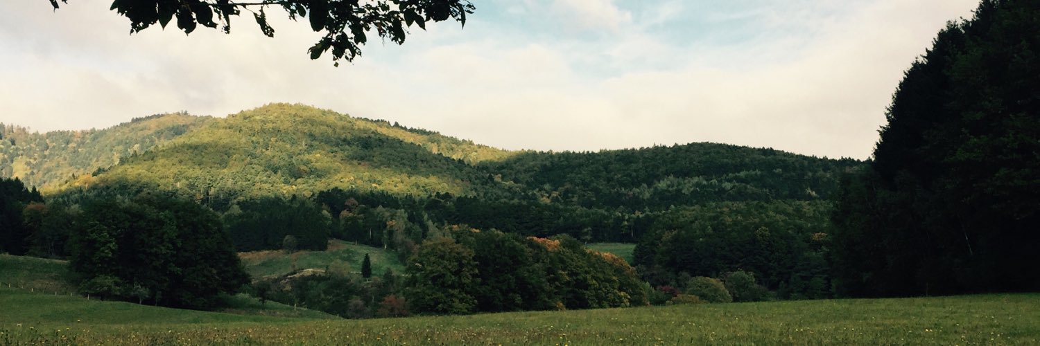 MBeltzung's profile banner image