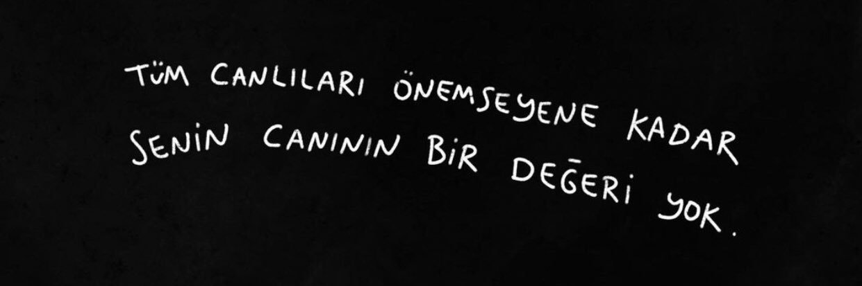 SerenDalgic's profile banner image