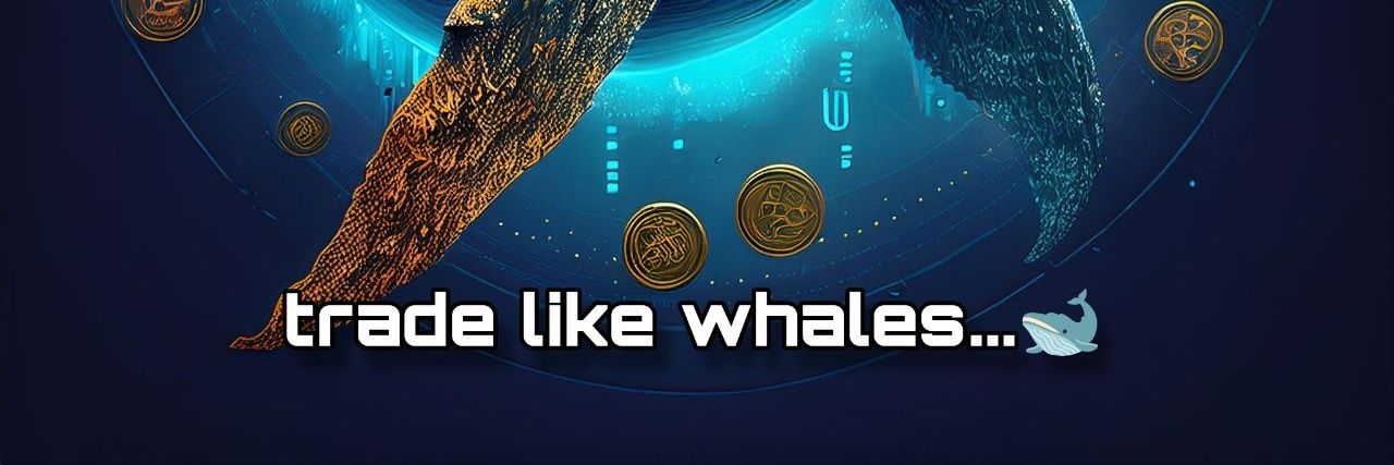 Crypto Whale banner