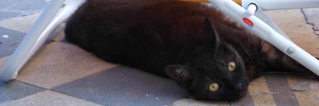 pelin 🇺🇦 banner