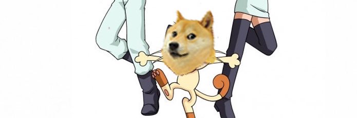 DogecoinRocket_'s profile banner image