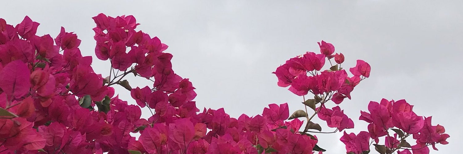 Rafai00's profile banner image