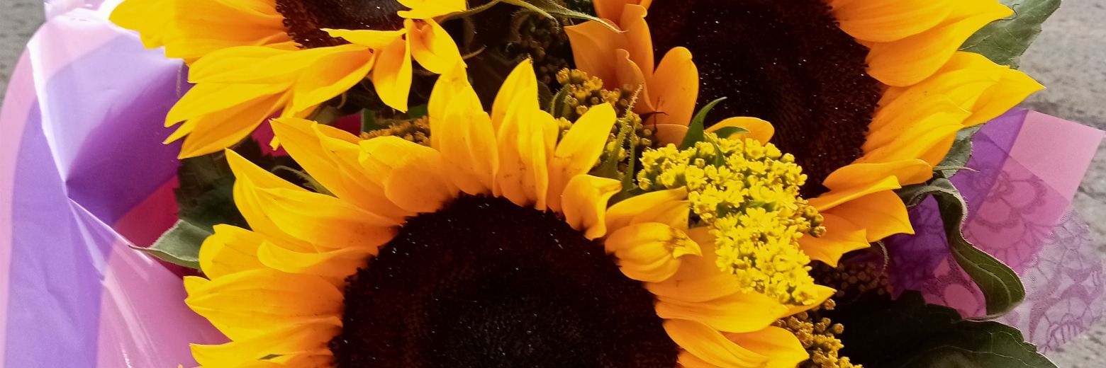 m_aljndraa's profile banner image
