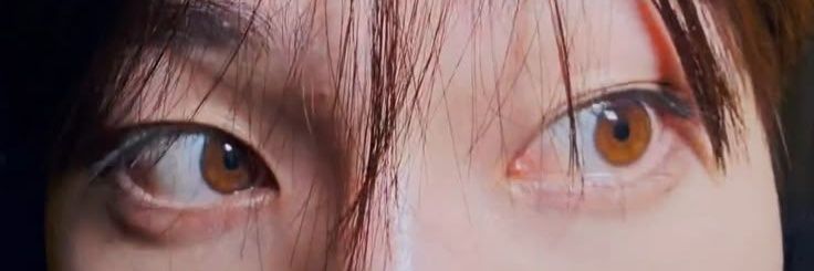 ʚ^..^ɞ banner