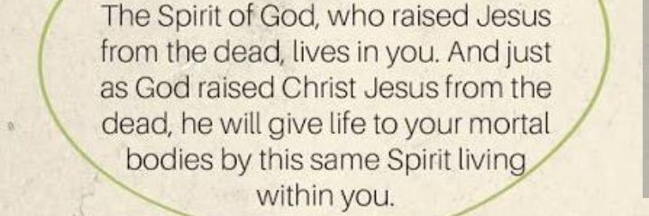 Andre James Jr. banner