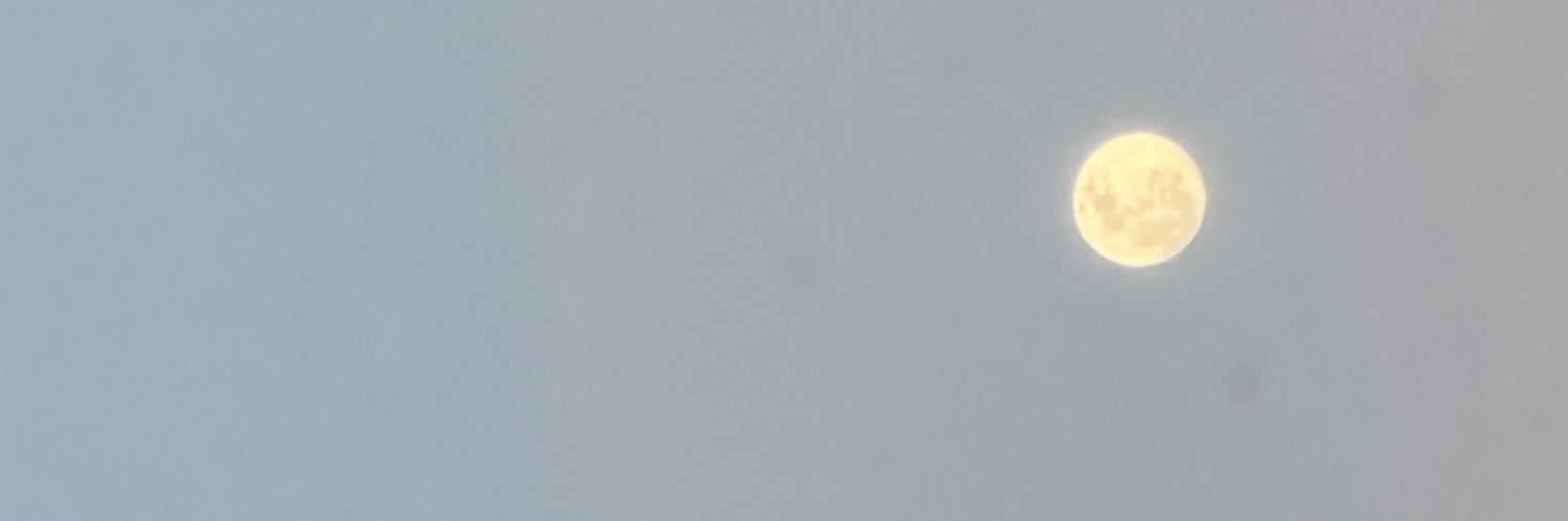 Designer banner