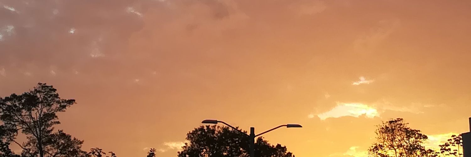 amvjoseline's profile banner image
