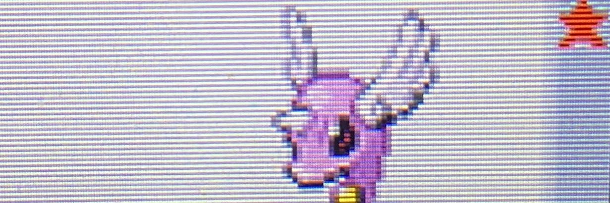 Bulle's banner
