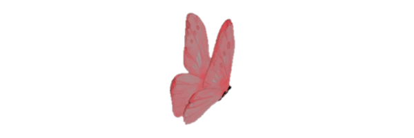 flutterinas Profile Banner