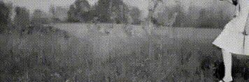 ✷ ⬚ ͒ 𝖻𝗂𝖻𝗂α .ᐣ 𓈒 𓈒 𓈒 banner