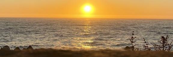 Jovimo1979's profile banner image
