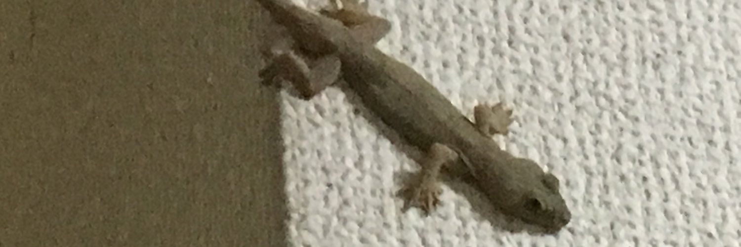 moriyosii's profile banner image