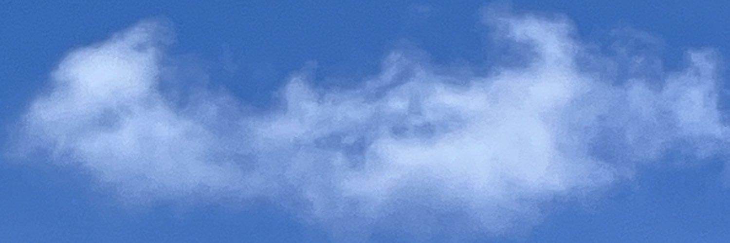 clover 🏳️‍⚧️'s banner