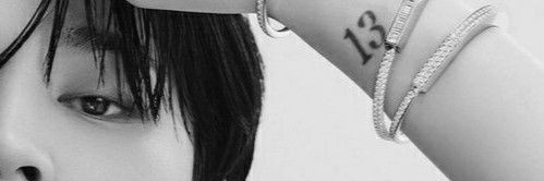 Protect Pjm¹³'s banner