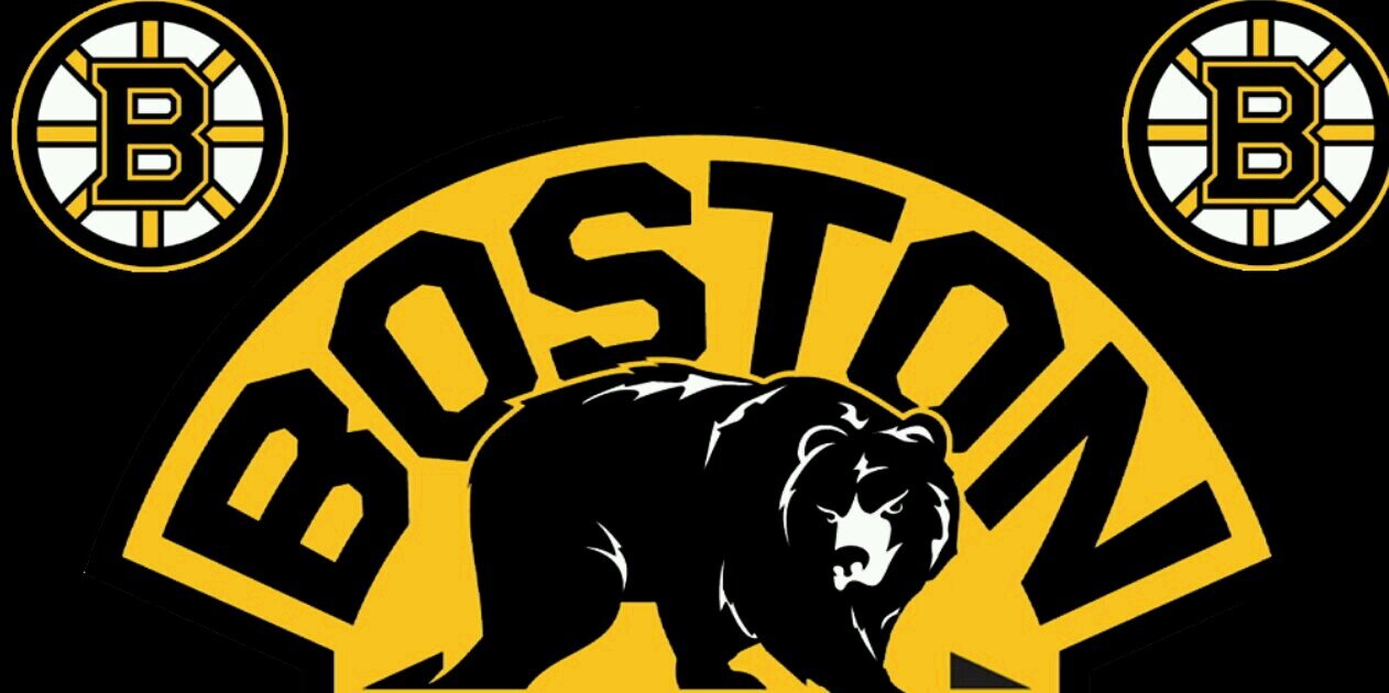 BruinBiscuit's profile banner image