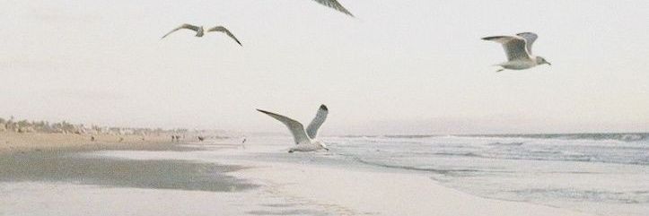 heeeybbe's profile banner image
