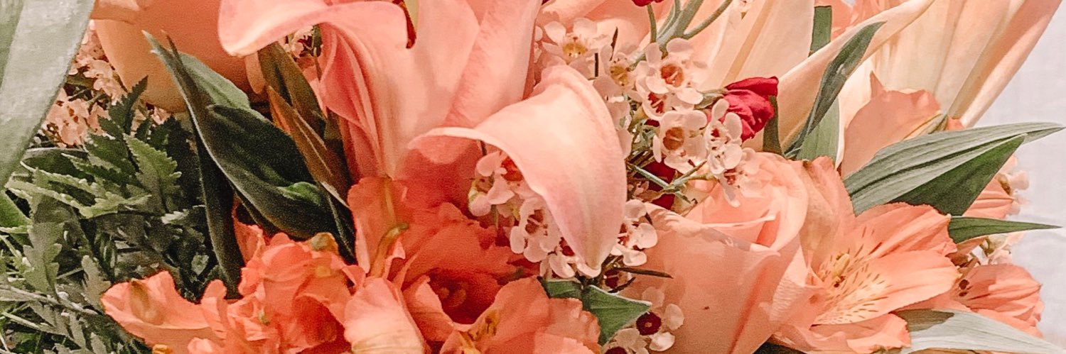 kaitlynlguy's profile banner image