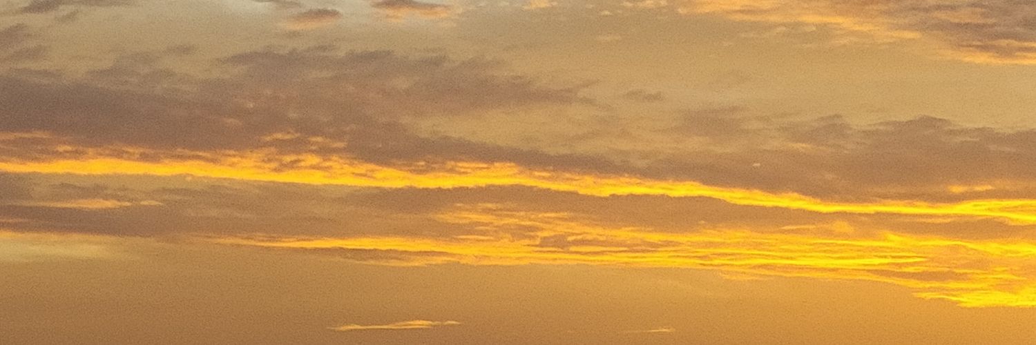 nikhildx's profile banner image