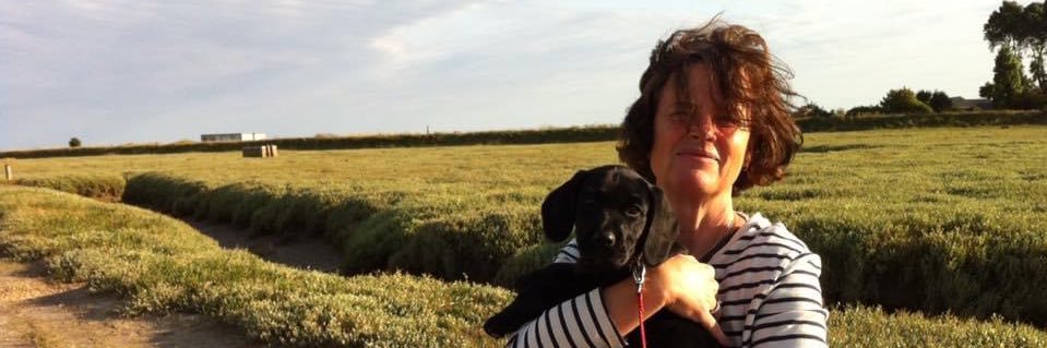 Helenlkay's profile banner image