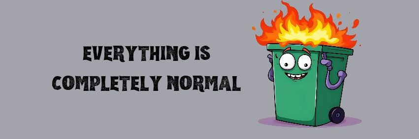 this is totally fine banner