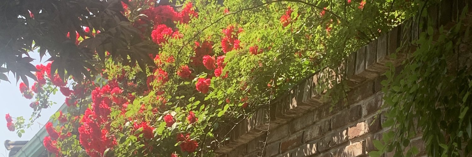 defsbamm's profile banner image