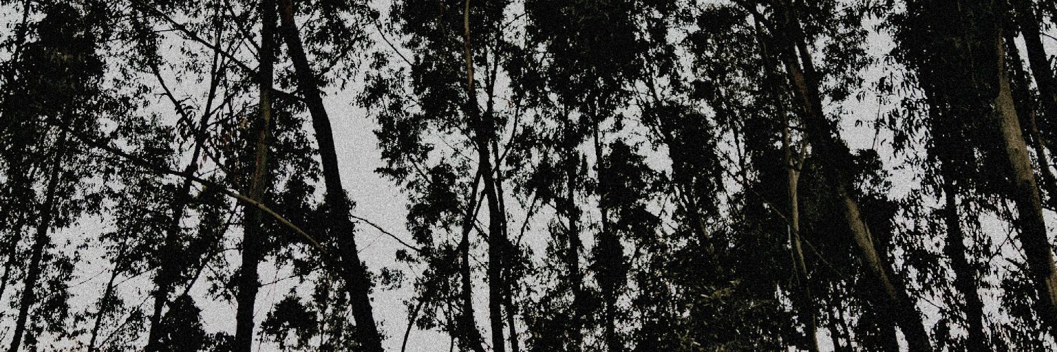 seb122sim's profile banner image