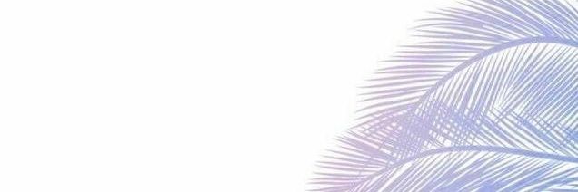 WokeRepellant 🪲's banner