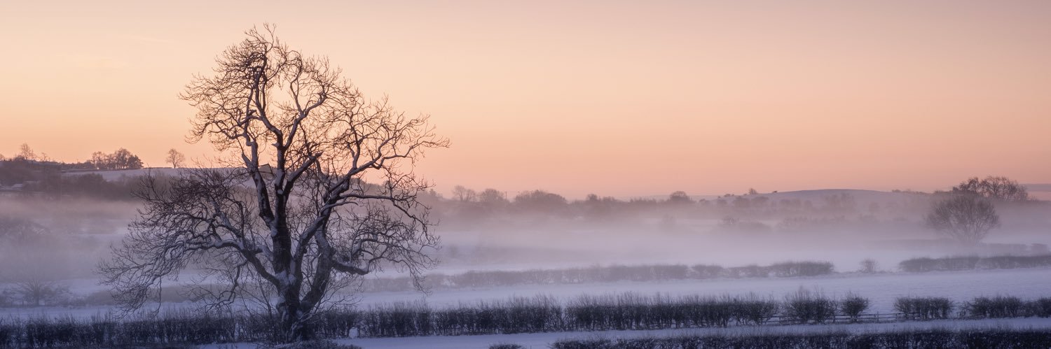 markprice0811's profile banner image