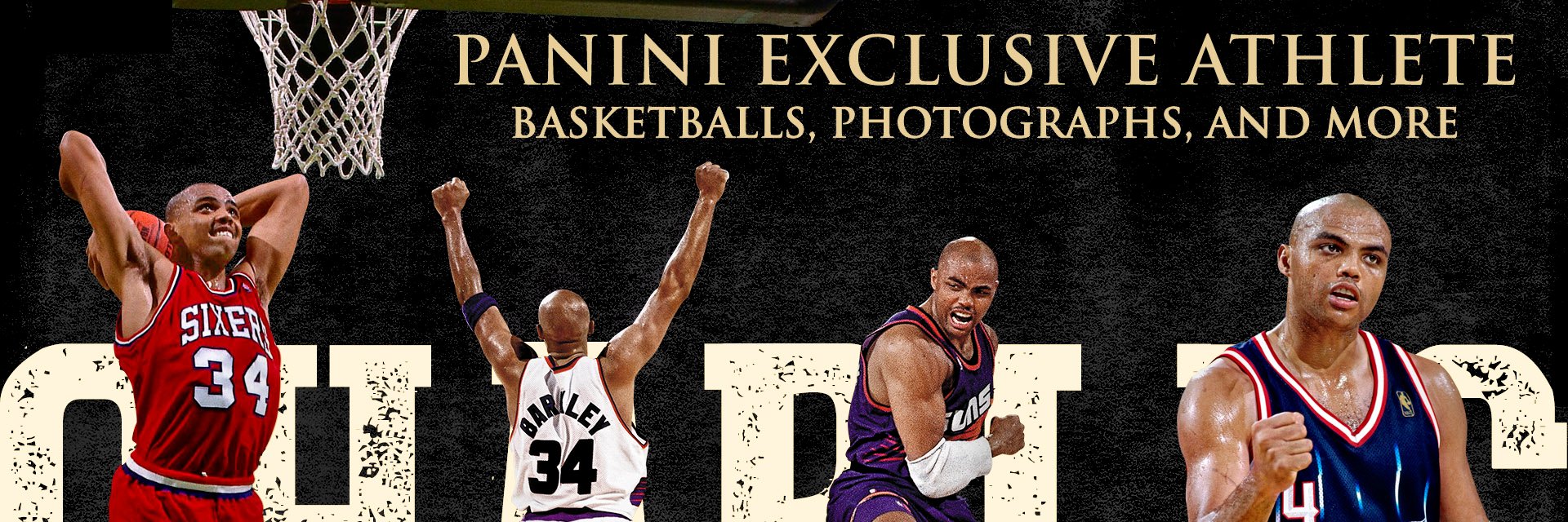 Panini Authentic banner