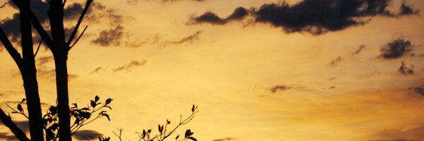 ebenjumea Profile Banner